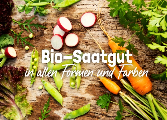 Biosaatgut kaufen